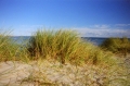 2003 Skagen Dagstrand 2